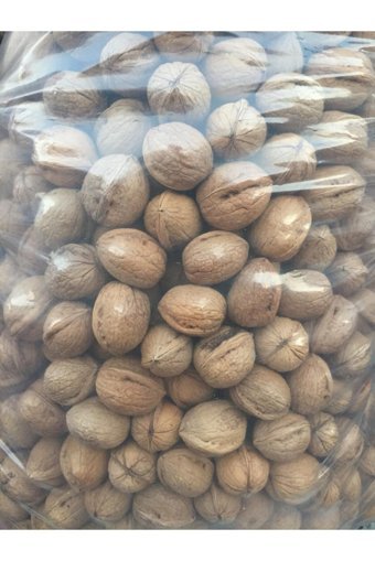Kimyager Fıstıkçılık Ve Kuruyemiş Organik Tane Kabuklu Ceviz 2 kg