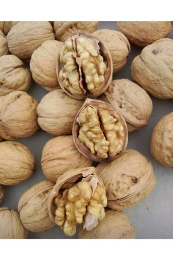 Ünlü Şifa Organik Tane Kabuklu Ceviz 1 kg