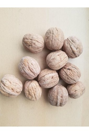 Yeşil Egem Organik Tane Kabuklu Ceviz 1 kg
