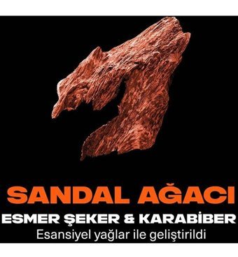 Axe Copper Santal Sprey Erkek Deodorant 2x150 ml