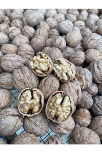 Sultan Ceviz Bahçeleri Organik Tane Kabuklu Ceviz 3 kg