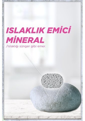 Garnier Roll-On Kadın Deodorant 50 ml