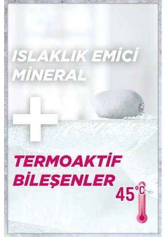 Garnier Sprey Kadın Deodorant 2x150 ml