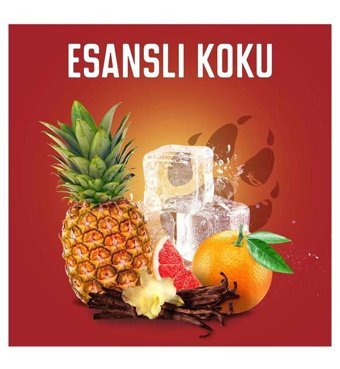 Old Spice Stick Erkek Deodorant 70 ml