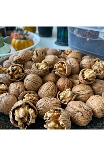 Gazisofraantep Organik Tane Kabuklu Ceviz 10 kg