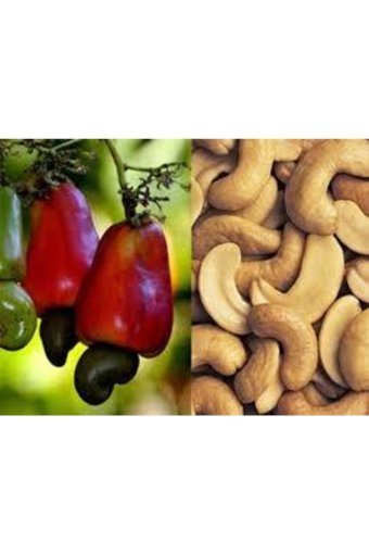 Enval Kavrulmuş Kaju 1 kg