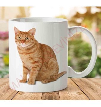 Art Hediye Cat-Png İki Tarafı Baskılı Kupa Bardak