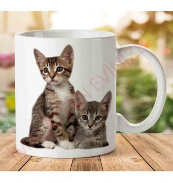 Art Hediye A2424 Kedi Yavrusu İki Tarafı Baskılı Kupa Bardak
