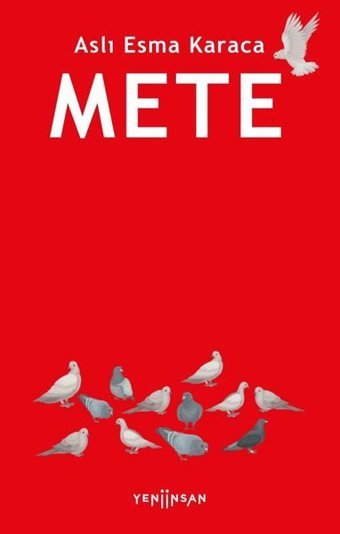 Mete Aslı Esma Karaca Yeni İnsan Yayınevi