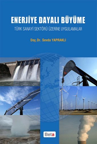 Enerjiye Dayalı Büyüme Sevda Yapraklı Beta Yayınları