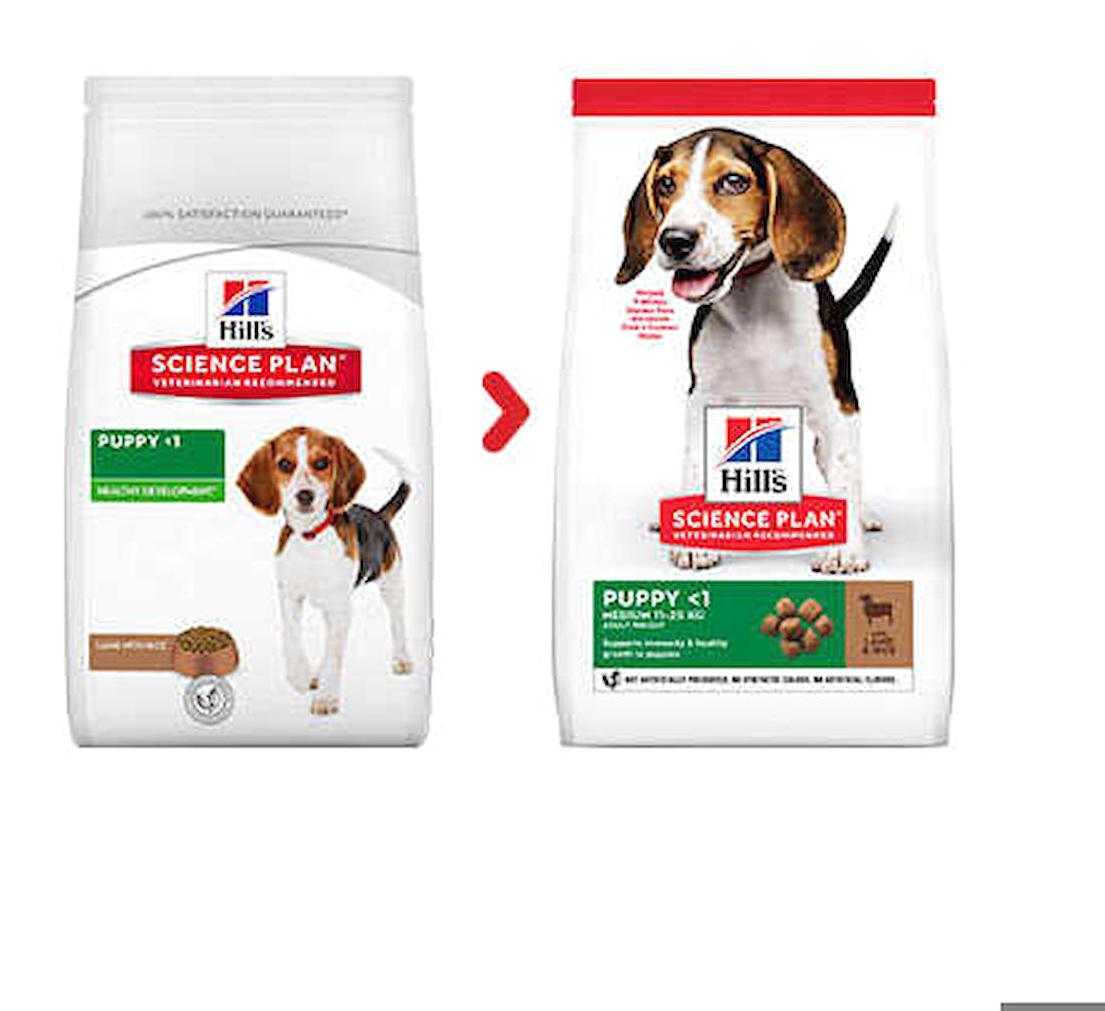 Lisinya Kuzu Etli Orta Irk Yavru Kuru Köpek Maması 12kg + 2 kg