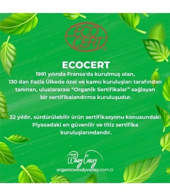 Organic Windy Valley Elma Sirke 500 ml