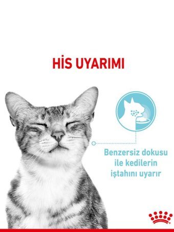 Royal Canin Sensory Feel Yetişkin Etli Soslu Yaş Kedi Maması 12x85 gr