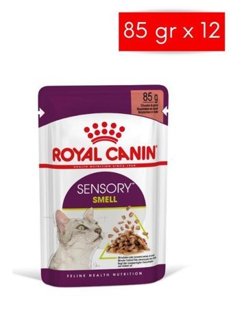 Royal Canin Sensory Smell Yetişkin Etli Soslu Yaş Kedi Maması 12x85 gr