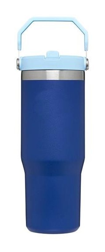 Hyt Taşınabilir Paslanmaz Çelik 800 ml Outdoor Termos Mor