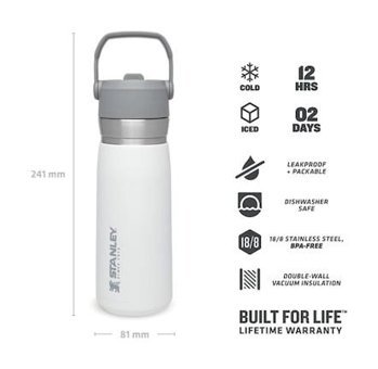 Stanley Go Iceflow Paslanmaz Çelik 0.65 lt Outdoor Termos Çok Renkli