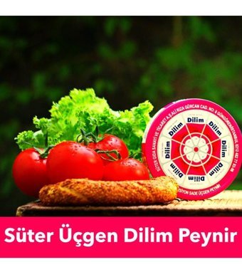 Süter Üçgen Peyniri 120 gr