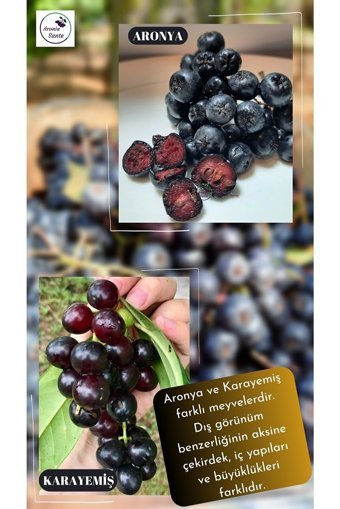 Aronia Sante Şekersiz Aronia 500 gr