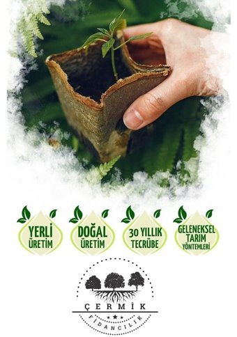 Çermik Fidancılık Örgü Peyniri 5 kg
