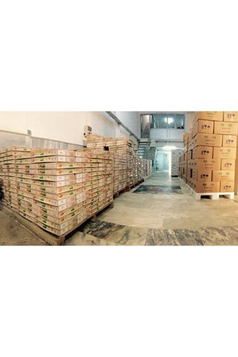 Çamlar Şekersiz İncir 2 kg