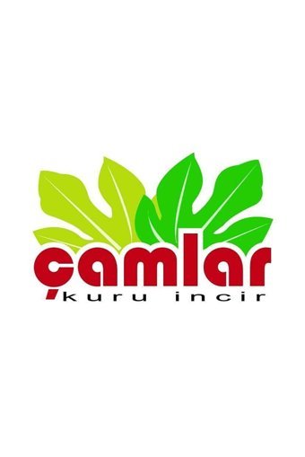Çamlar Şekersiz İncir 2 kg