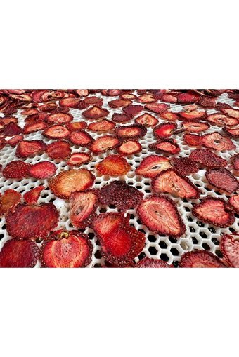 Quruttuq Şekersiz Çekirdeksiz Çilek 500 gr
