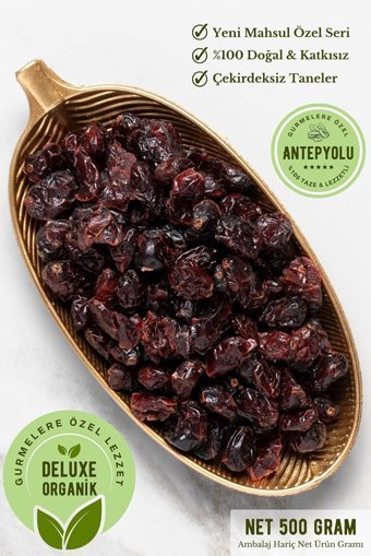 Antepyolu Organik Şekersiz Çekirdeksiz Yaban Mersini 500 gr