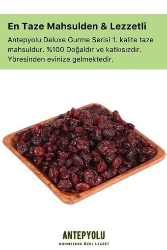 Antepyolu Organik Şekersiz Çekirdeksiz Yaban Mersini 500 gr
