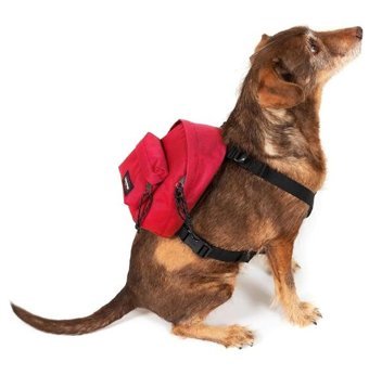 Eastpak Dog Pak'R Kırmızı Ek0A5Beo84Z1 Kadın Sırt Çantası