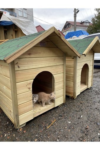 Korun Ahşap XL Dış Mekan Ahşap Köpek Kulubesi