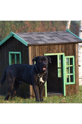 Oxford Yalıtımlı Dış Mekan Ahşap Köpek Kulubesi