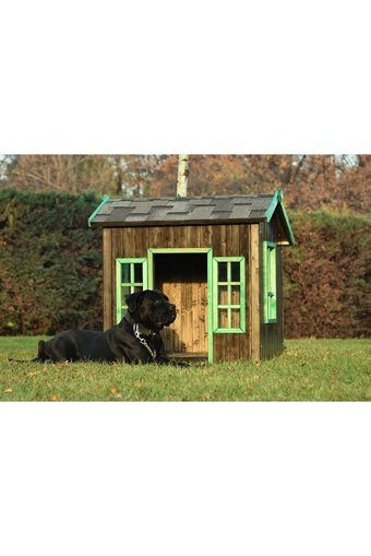 Oxford Yalıtımlı Dış Mekan Ahşap Köpek Kulubesi