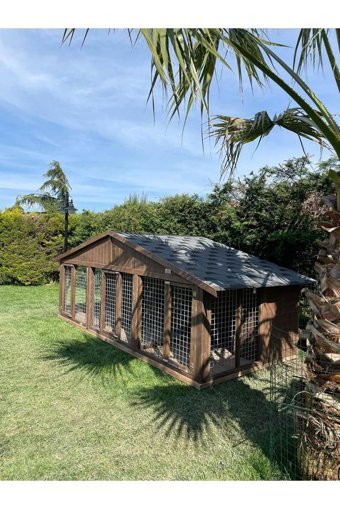 Latanwood Herkül XXL Çitli Dış Mekan Ahşap Köpek Kulubesi