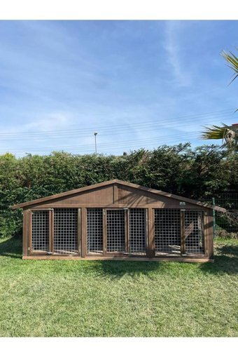 Latanwood Herkül XXL Çitli Dış Mekan Ahşap Köpek Kulubesi