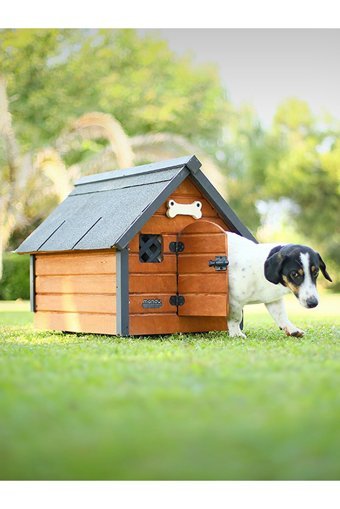 Mandu Small Yalıtımlı Dış Mekan Ahşap Köpek Kulubesi