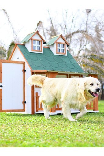 Mandu Yalıtımlı Çitli Dış Mekan Ahşap Köpek Kulubesi