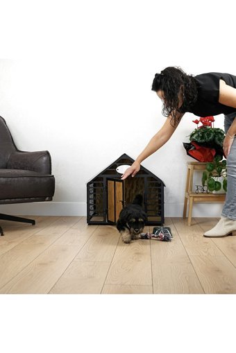 Colorfull Worlds Dış Mekan Ahşap Köpek Kulubesi