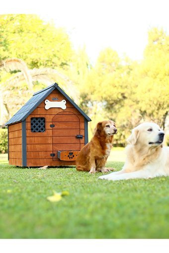 Mandu Large Yalıtımlı Dış Mekan Ahşap Köpek Kulubesi