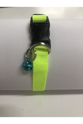 CCA Zilli Düz Fosforlu Sarı Ayarlanabilir Gezdirme Boyun Kedi Tasması