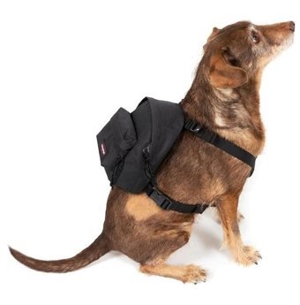 Eastpak Dog Pak'R Siyah Ek0A5Beo0081 Kadın Sırt Çantası
