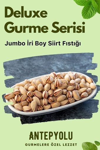 Antepyolu Deluxe Gurme Ana Çıtak Kabuklu Kavrulmuş Siirt Yöresi Tane Antep Fıstığı 500 gr