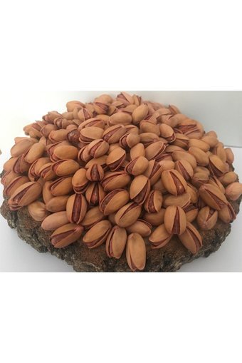 Güreloğlu Kuruyemiş Ana Çıtak Kabuklu Kavrulmuş Siirt Yöresi Tane Antep Fıstığı 1 kg