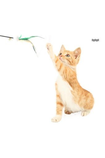 Pet Love Hareketli Kedi Otlu Tüylü Tırmalama Yavru Olta Kedi Oyuncağı