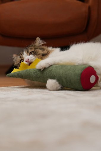 Pawdaz Peluş Tüylü Tırmalama Yavru Kedi Oyuncağı