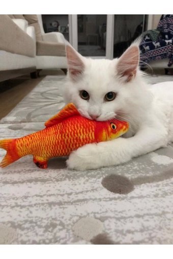 Myeksi Hareketli Diş Kaşıma Yavru Balık Kedi Oyuncağı