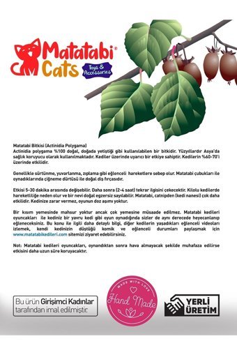 Matatabi Hareketli Diş Kaşıma Yavru Balık Kedi Oyuncağı