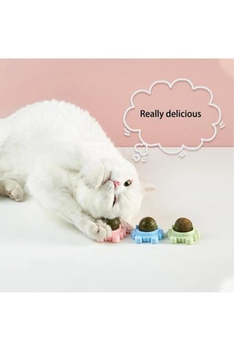 Multi Hareketli Kedi Otlu Diş Kaşıma Yavru Top Kedi Oyuncağı