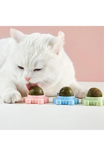 Multi Hareketli Kedi Otlu Diş Kaşıma Yavru Top Kedi Oyuncağı