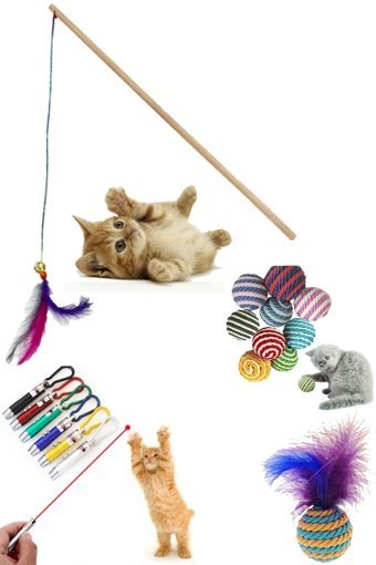 Yiğitler Avm Sesli Yakalama Yavru-Yetişkin Lazer-Top Kedi Oyuncağı