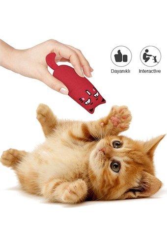 Petish Hareketli Peluş Tüylü Tırmalama Yavru Fare Kedi Oyuncağı
